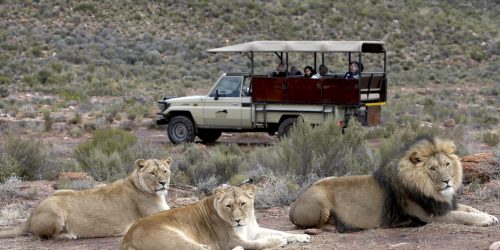 Aquila Private Game Reserve